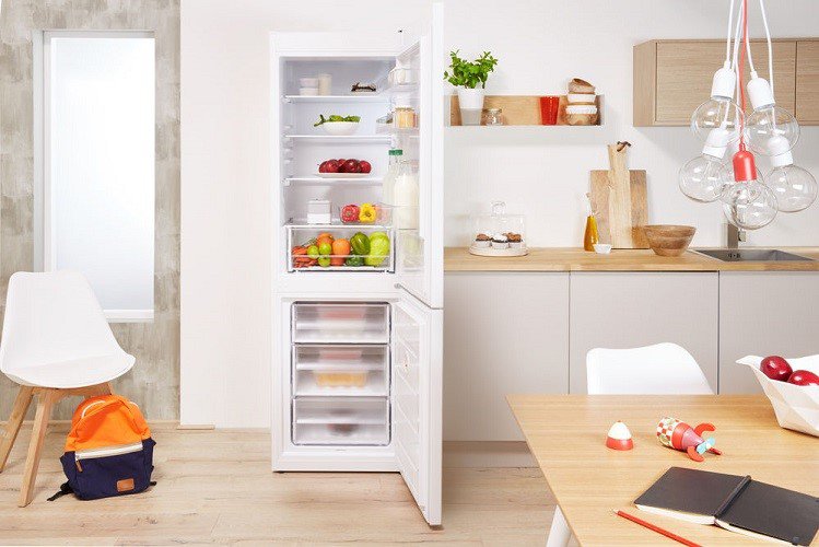Купить Двухкамерный холодильник Indesit DS 4180 W — Фото 8