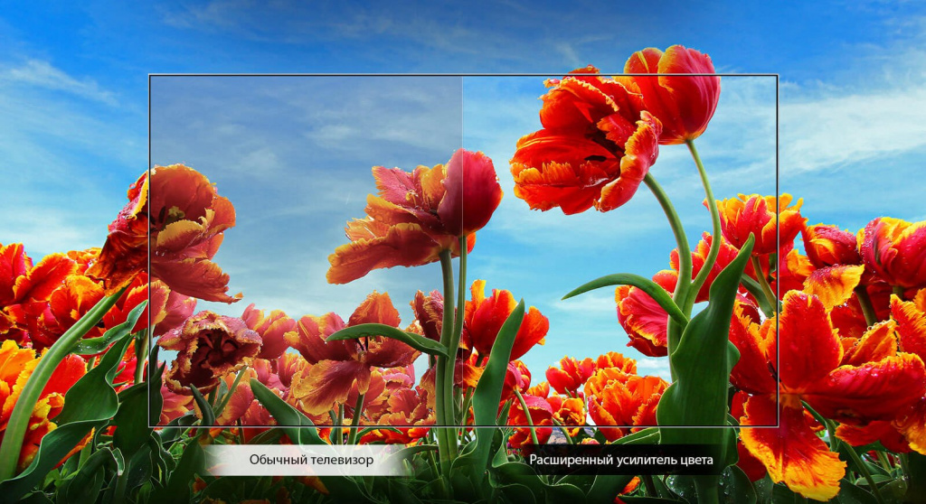 TV-HD-LM55-01-Dynamic-Color-Desktop.jpg