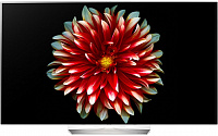 Телевизор LG OLED55EG9A7V