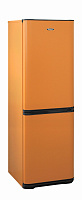 Двухкамерный холодильник БИРЮСА T633