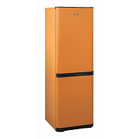 Двухкамерный холодильник БИРЮСА T320NF