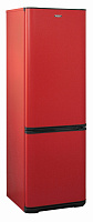 Двухкамерный холодильник БИРЮСА H633